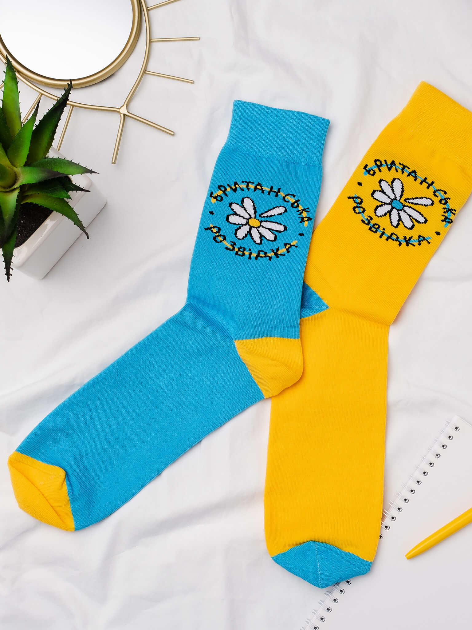 Картинка Жовто-блакитні шкарпетки